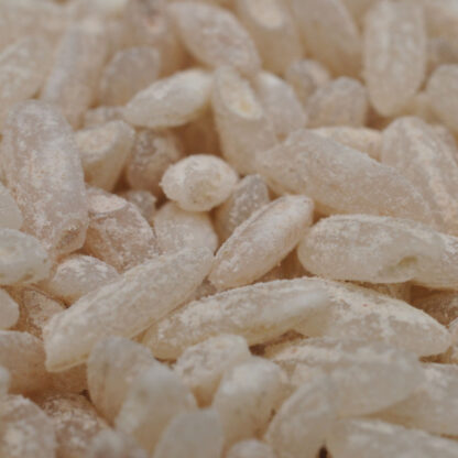 Крупное изображение узбекского риса сорта девзира ОК из Узбекистана